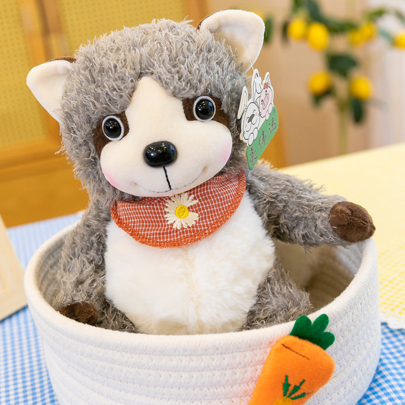 Raccoon Plush Toys